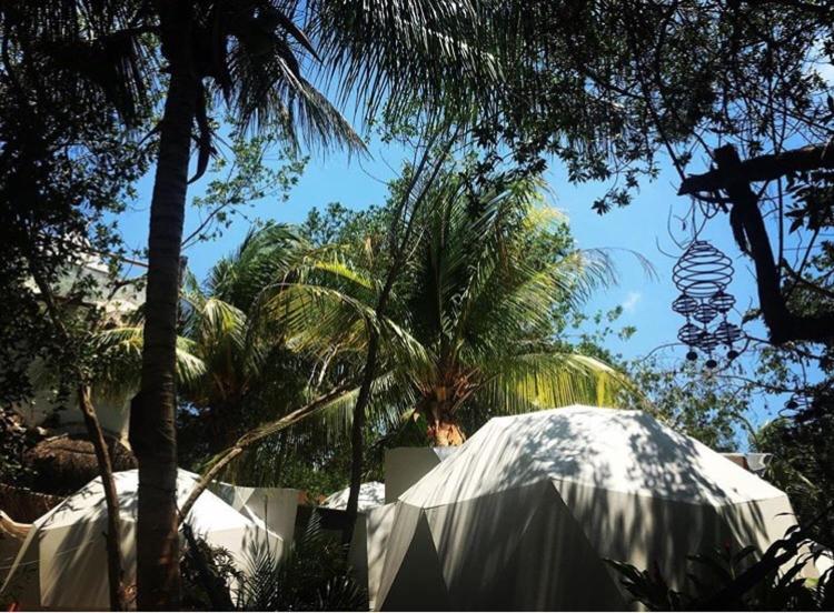 Frequency Otel Isla Holbox Dış mekan fotoğraf